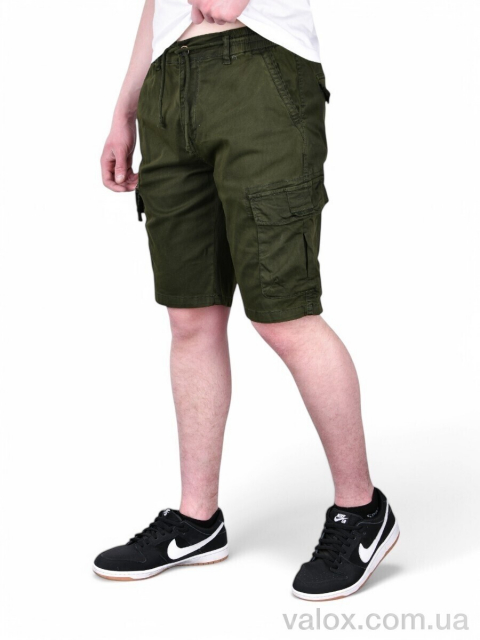 Чоловічі шорти оптом (ak637-3)