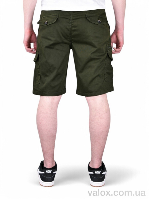Чоловічі шорти оптом (ak637-3)
