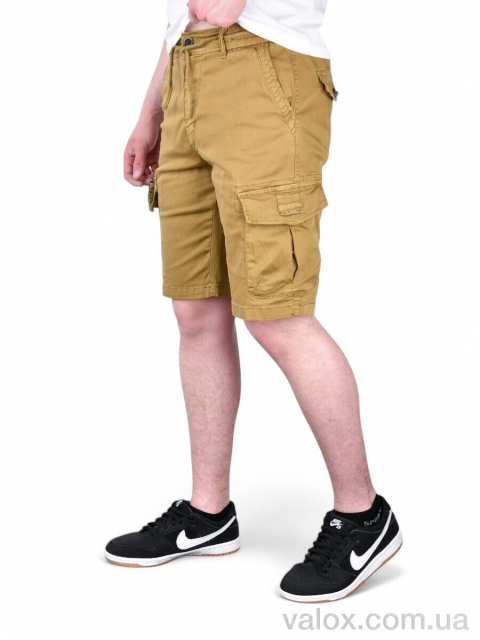 Чоловічі шорти оптом (ak637-5)