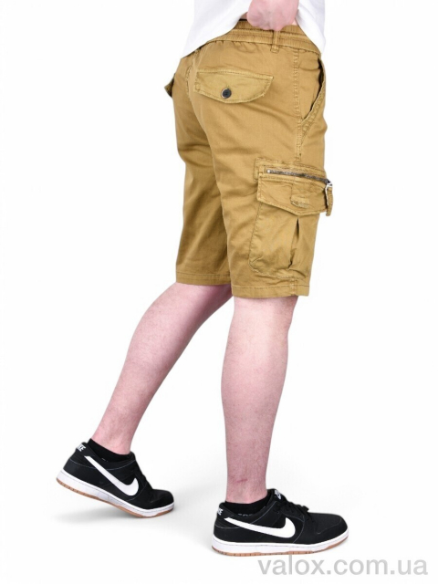 Чоловічі шорти оптом (ak637-5)