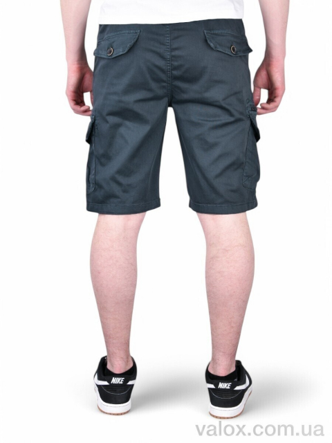 Чоловічі шорти оптом (ak637-6)