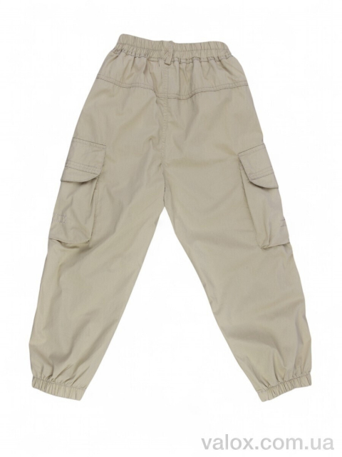 Дитячі брюки оптом (d2559 beige)