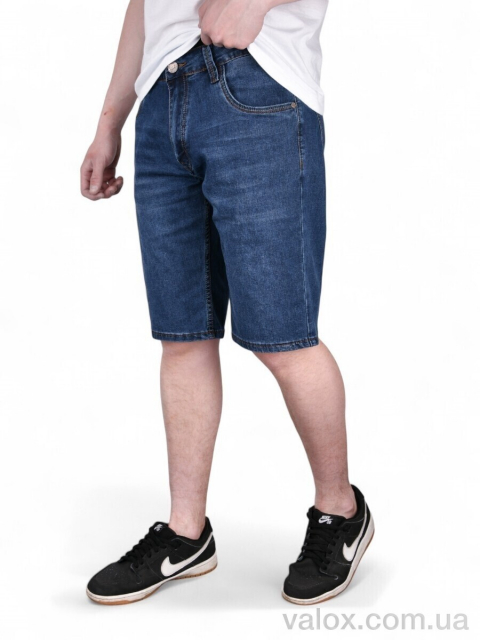Чоловічі шорти оптом (dn237)