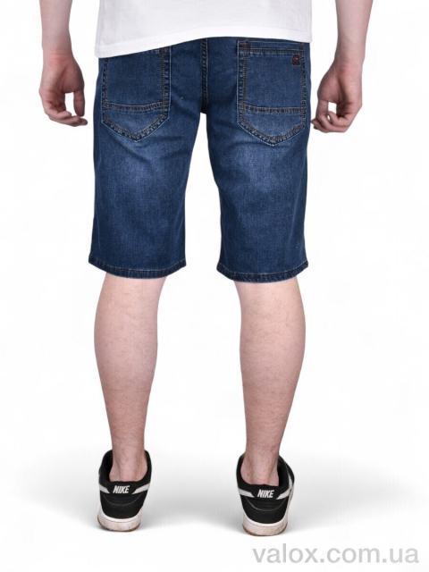 Чоловічі шорти оптом (dn237)