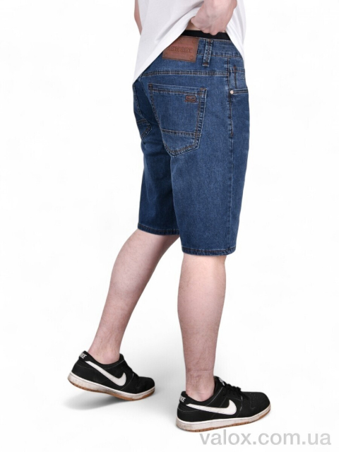 Чоловічі шорти оптом (dn237)