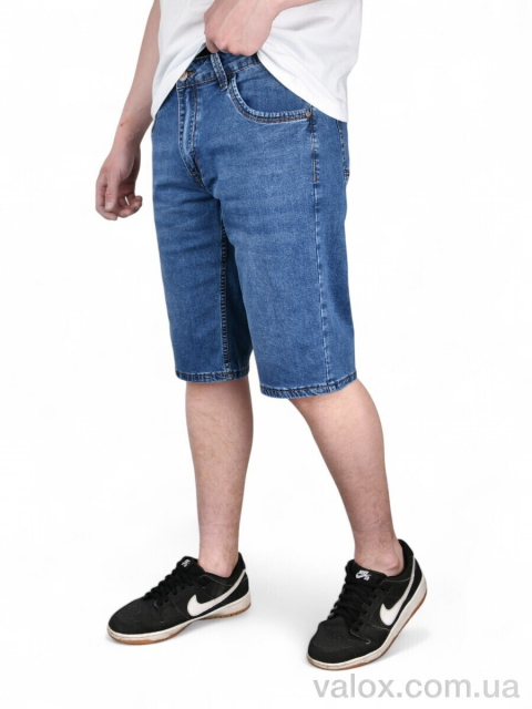Чоловічі шорти оптом (dn581)