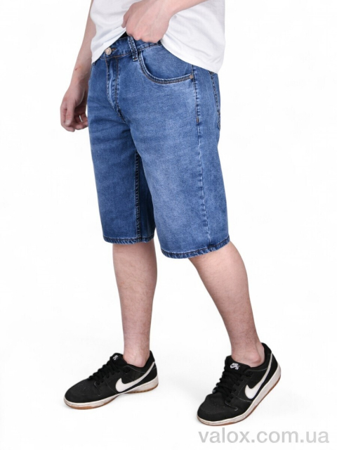 Чоловічі шорти оптом (dn580)