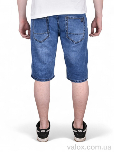 Чоловічі шорти оптом (dn580)