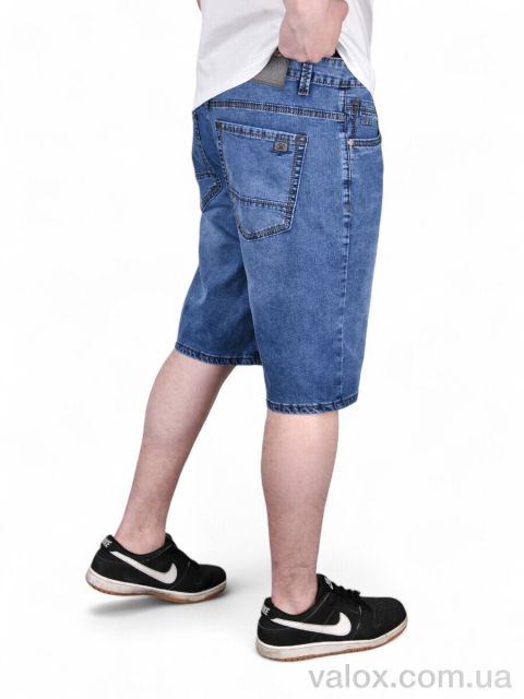 Чоловічі шорти оптом (dn580)