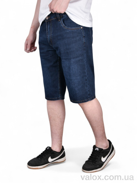 Чоловічі шорти оптом (dn233)