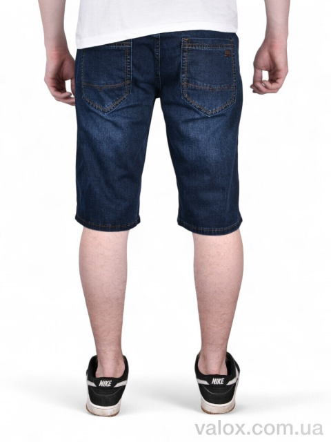 Чоловічі шорти оптом (dn233)