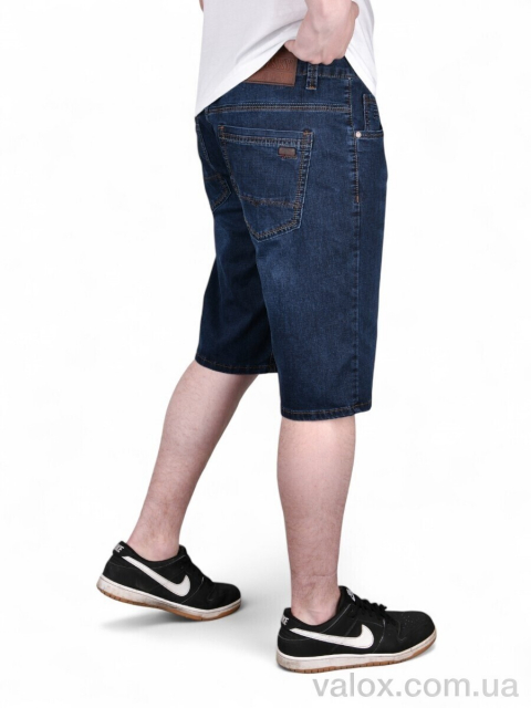 Чоловічі шорти оптом (dn233)