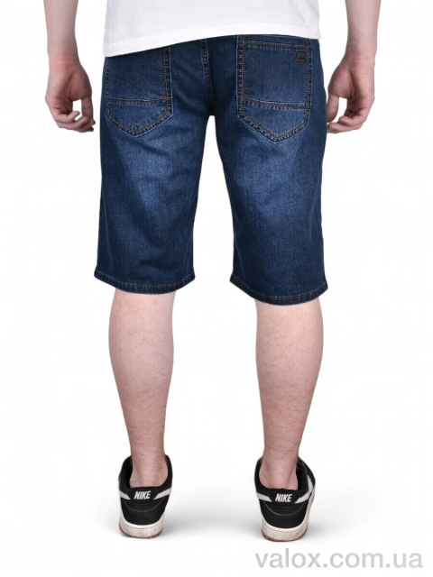 Чоловічі шорти оптом (dn238)