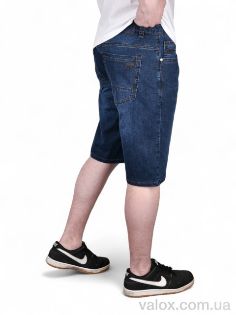 Чоловічі шорти оптом (dn238)
