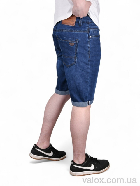 Чоловічі шорти оптом (dn909)