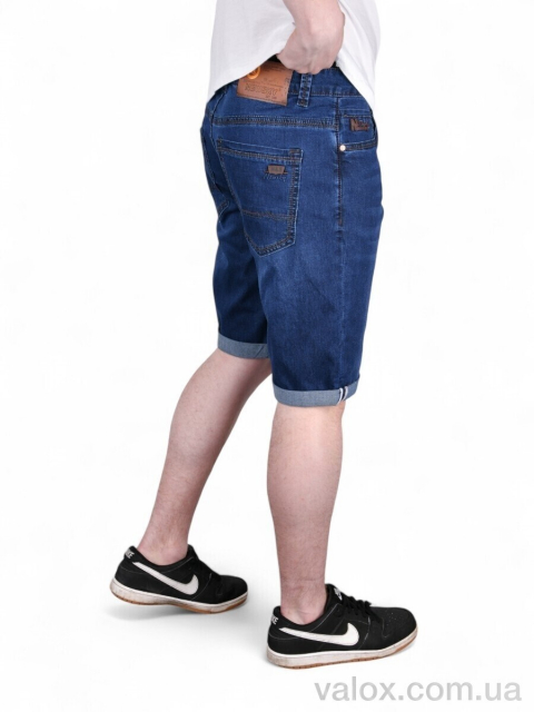 Чоловічі шорти оптом (dn905)