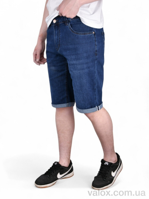 Чоловічі шорти оптом (dn753)