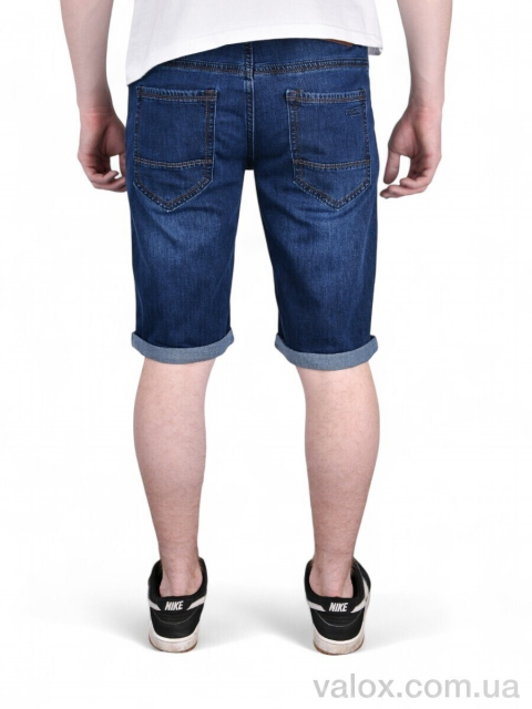 Чоловічі шорти оптом (dn753)