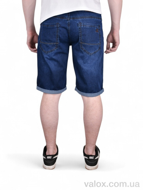 Чоловічі шорти оптом (dn908)