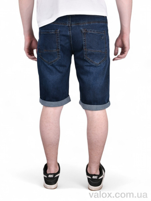 Чоловічі шорти оптом (dn825)
