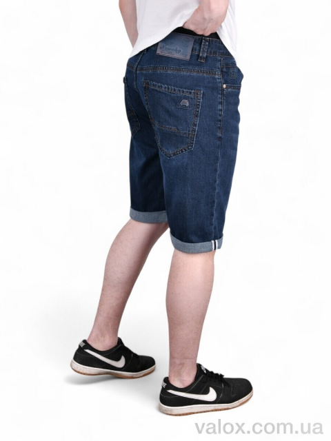 Чоловічі шорти оптом (dn825)