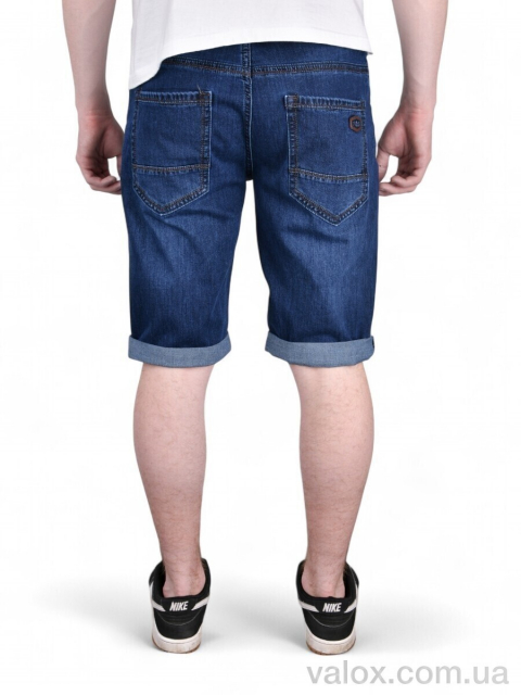 Чоловічі шорти оптом (dn750)