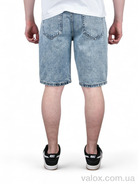 Чоловічі шорти оптом (120)