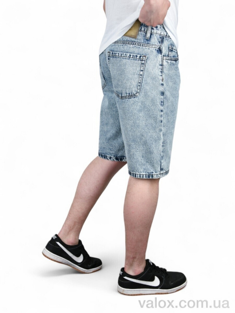 Чоловічі шорти оптом (119)