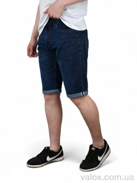 Чоловічі шорти оптом (dn828)