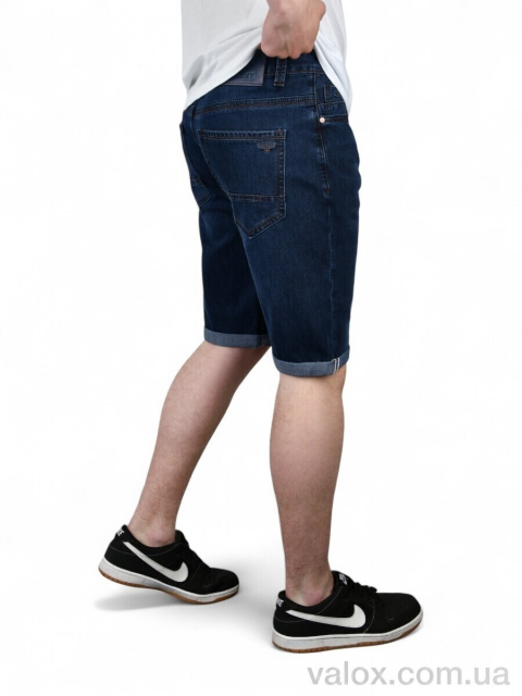 Чоловічі шорти оптом (dn828)