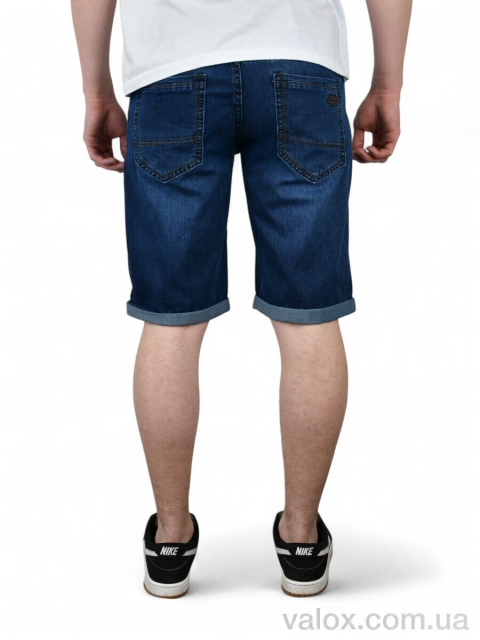 Чоловічі шорти оптом (dn902)