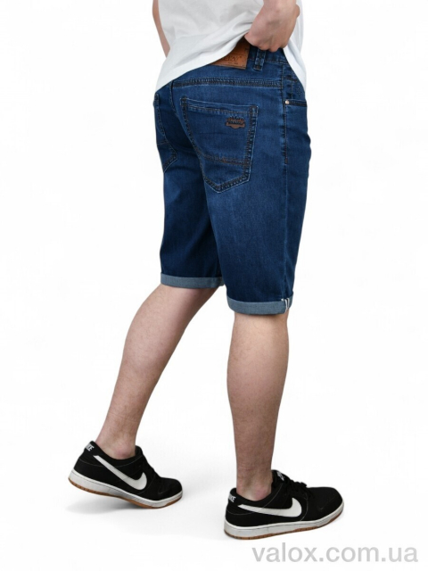 Чоловічі шорти оптом (dn902)